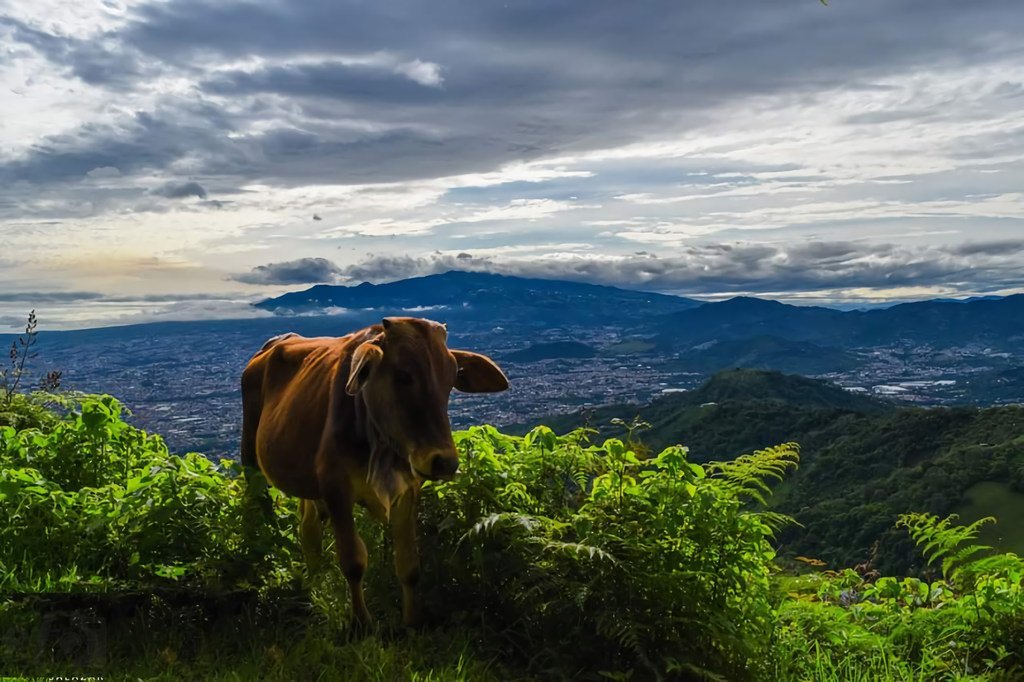 Vue panoramique depuis la municipalité costaricienne d'Alajuelita.