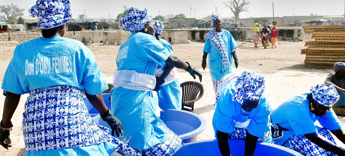 A women's collective processes sardinella in Senegal.