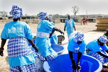 塞内加尔的妇女们在加工沙丁鱼。