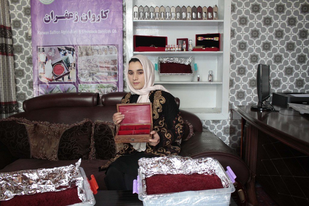 تفتح كريمة المجال أمام سائر النساء في أفغانستان للدخول إلى قطاع إنتاج الزعفران 