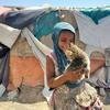 فتاة يمنية تلعب مع قطة صغيرة في موقع يستضيف نازحين في صنعاء باليمن، تشرين الثاني/نوفمبر 2021.