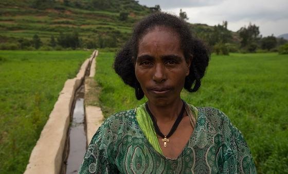 طرح‌های آبیاری کشاورزان خرده‌مالک، به‌ویژه زنان و جوانان را قادر می‌سازد تا دسترسی بیشتری به آب داشته باشند.