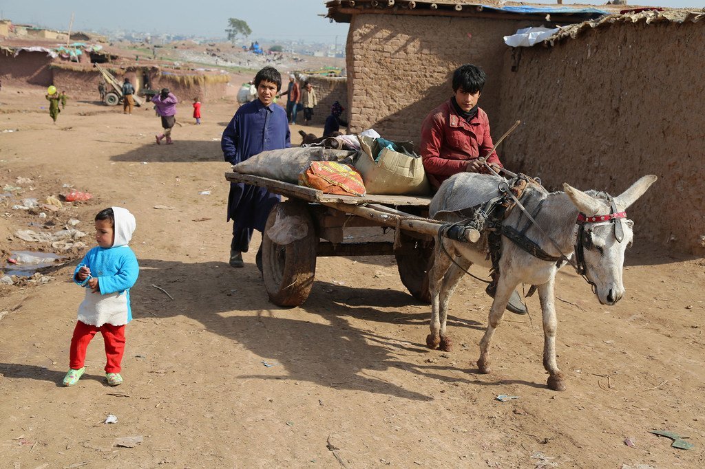 أطفال من اللاجئين الأفغان يحملون خردة على عربة يجرها حمار، في إسلام أباد، باكستان