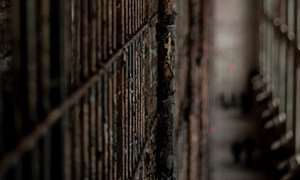 Stan Swamy, who was 84, was jailed last October on terrorism charges . (FILE)