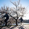 在2019冠状病毒大流行期间，自行车已成为乌克兰基辅人们在通勤和休闲的选择。