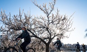 Bikes have become the choice for commuting as well as leisure time, during the COVID-19 pandemic, in Kyiv, Ukraine.