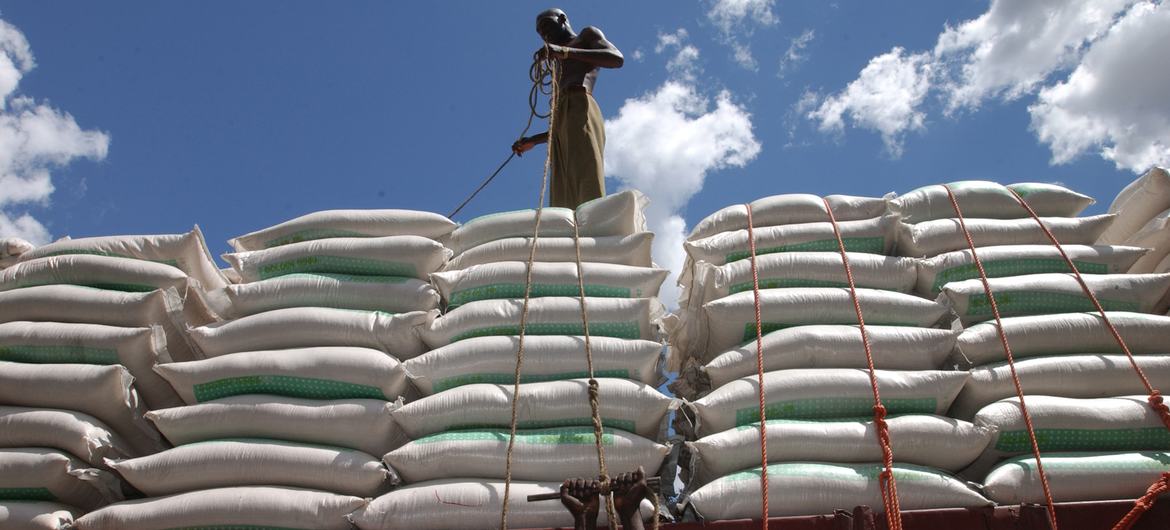 坦桑尼亚，达累斯萨拉姆港口的工人正在用卡车装载小麦袋。