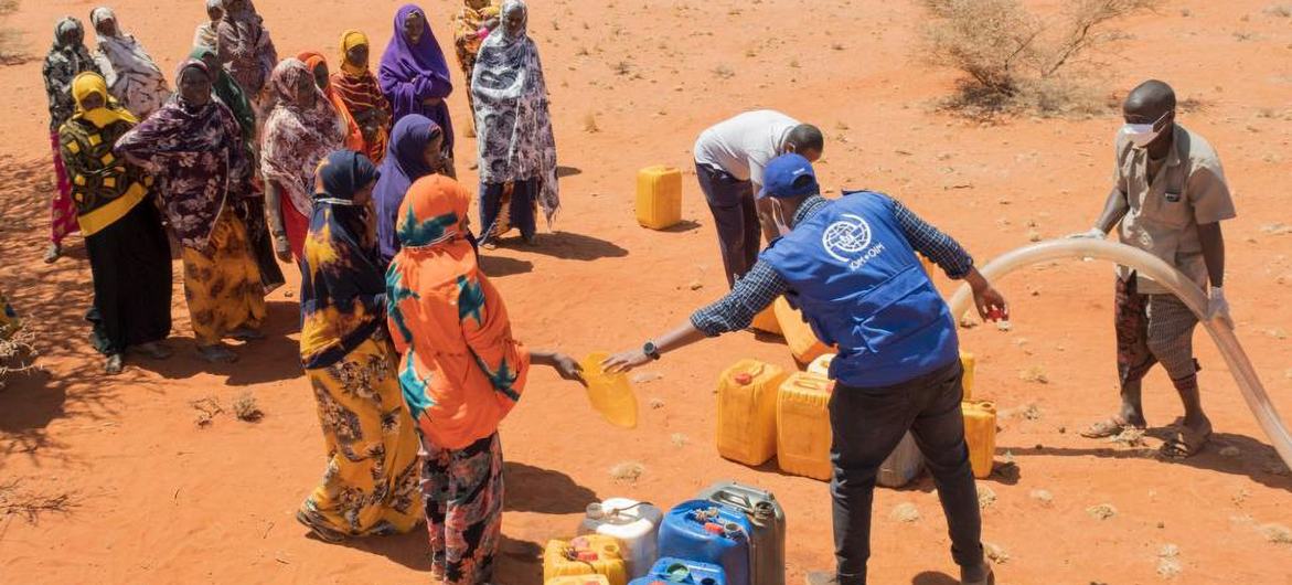 Distribution d'eau dans une zone affectée par la sécheresse, en Somalie.