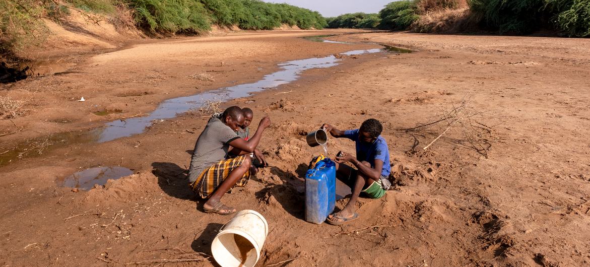 رجل مع أطفاله يجمعون المياه من نهر دولو الجاف، الصومال.