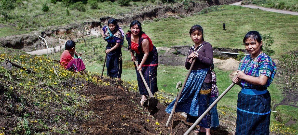 Women farmers in Guatemala.