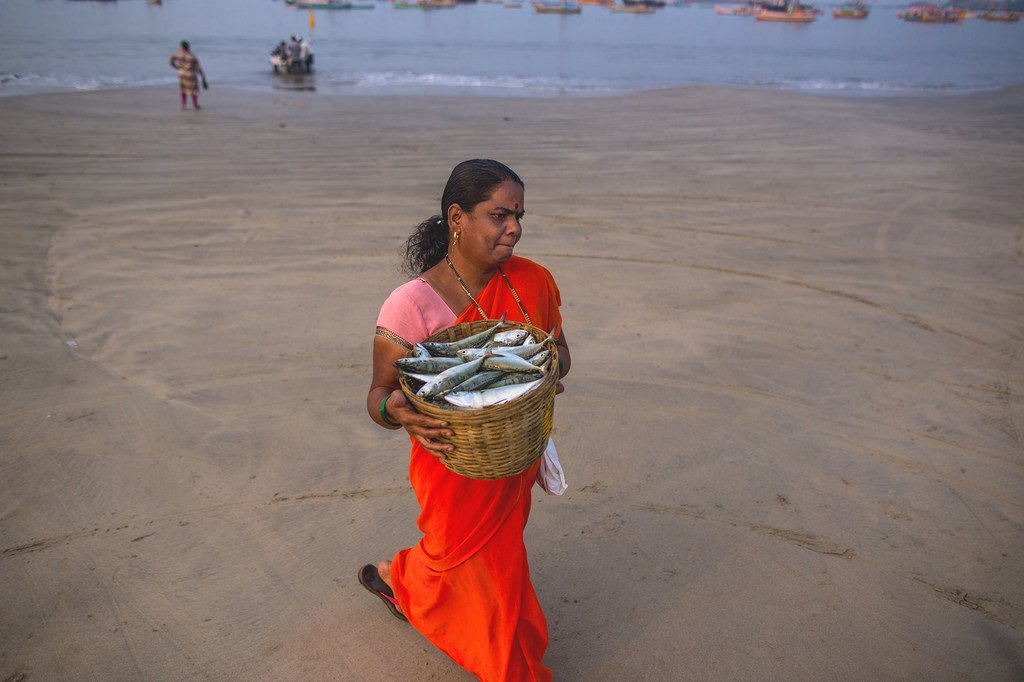 سيّدة في الهند تحمل محصولها من الأسماك قرابة سواحل مهاراشتا.