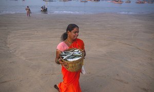 A woman carries fish from the shore in Maharashtra, India.