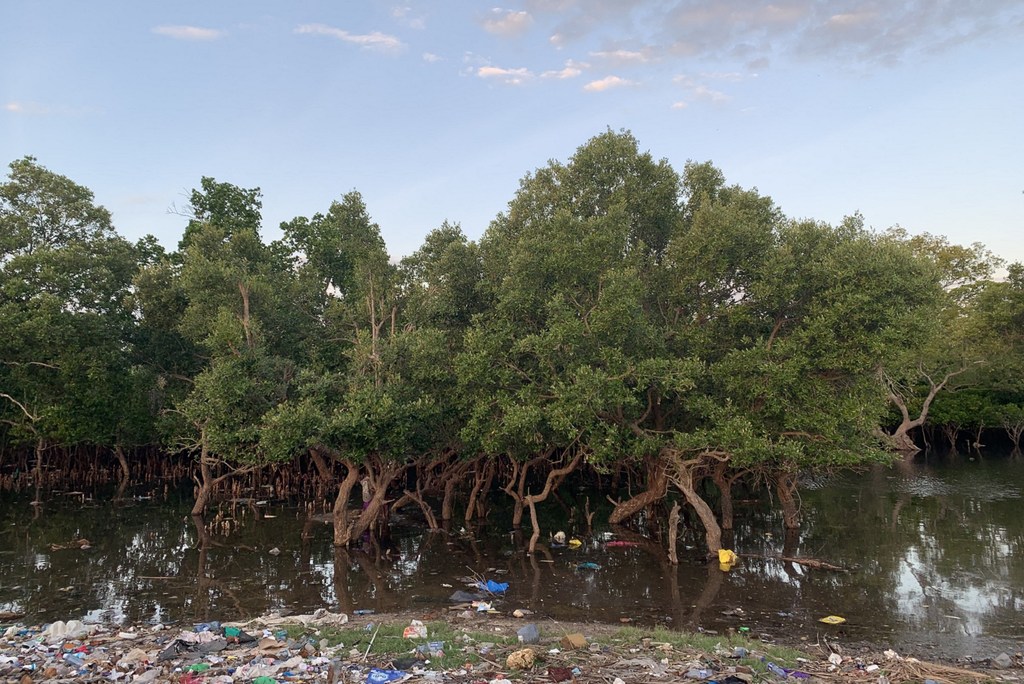  Contaminación de plásticos en Vanga, una ciudad costera de Kenya.