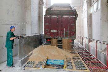  Переработка пшеницы в зернохранилище в Чернигове, Украина