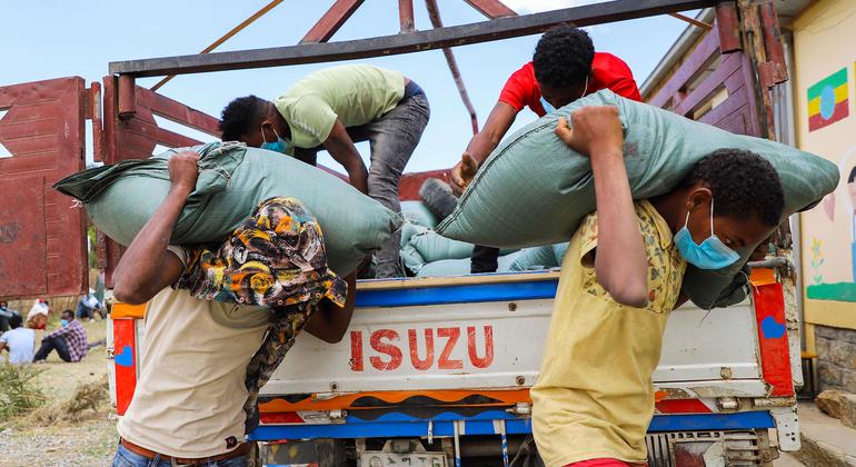 FAO e parceiros entregaram 262 toneladas de fertilizantes à região de Tigray, na Etiópia, para ajudar na produção de alimentos.