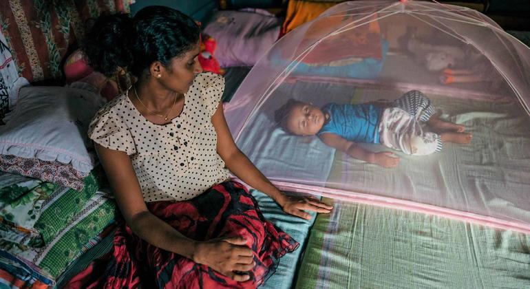 Sri Lanka: UNFPA, kadınlar için ‘kritik’ sağlık hizmetleri için 10,7 milyon dolar talep ediyor

 Nguncel.com