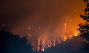 Incêndio na Floresta Nacional de Klamath, na Califórnia, nos Estados Unidos. 