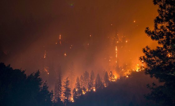  На фото: лесные пожары в американском штате Калифорния. 