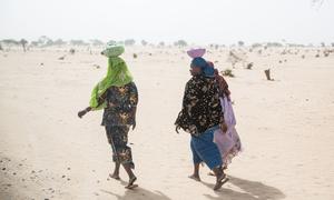 Unlike in other parts of the Africa, women constitute the majority of migrants in the East and Horn of Africa Region.