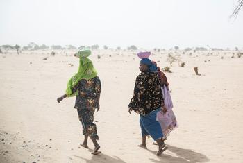 В отличие от других частей Африки, женщины составляют большинство мигрантов в регионе Африканского Рога.