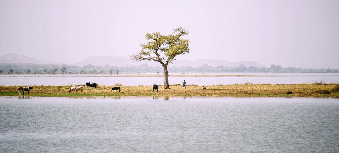 Le lac Bam, dans la région Centre-Nord du Burkina Faso, à une centaine de kilomètres de Ouagadougou, connaît d’énormes défis environnementaux.