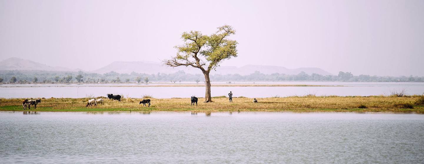 El lago Bam, en la región Centro-Norte de Burkina Faso, a un centenar de kilómetros de Uagadugú, está sometido a enormes desafíos medioambientales.
