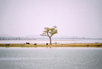 El lago Bam, en la región Centro-Norte de Burkina Faso, a un centenar de kilómetros de Uagadugú, está sometido a enormes desafíos medioambientales.