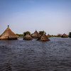 Casas inundadas ao longo das margens do rio Akobo, no Sudão do Sul.
