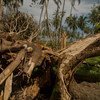 El huracán Otto en 2016 causó severos daños ambientales y económicos a Costa Rica. Los daños en infraestructura y producción agrícolas superaron los 236 mil millones de colones (420 millones de dólares al cambio actual). 