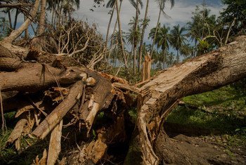 El huracán Otto en 2016 causó severos daños ambientales y económicos a Costa Rica. Los daños en infraestructura y producción agrícolas superaron los 236 mil millones de colones (420 millones de dólares al cambio actual). 