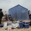 冲突导致近百万叙利亚西北部居民流离失所。照片中一个年轻的男孩在伊德利卜北部村庄的营地帐篷前等待购买东西的人。