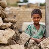 埃塞俄比亚的提格雷地区面临着一些最严峻的发展挑战。