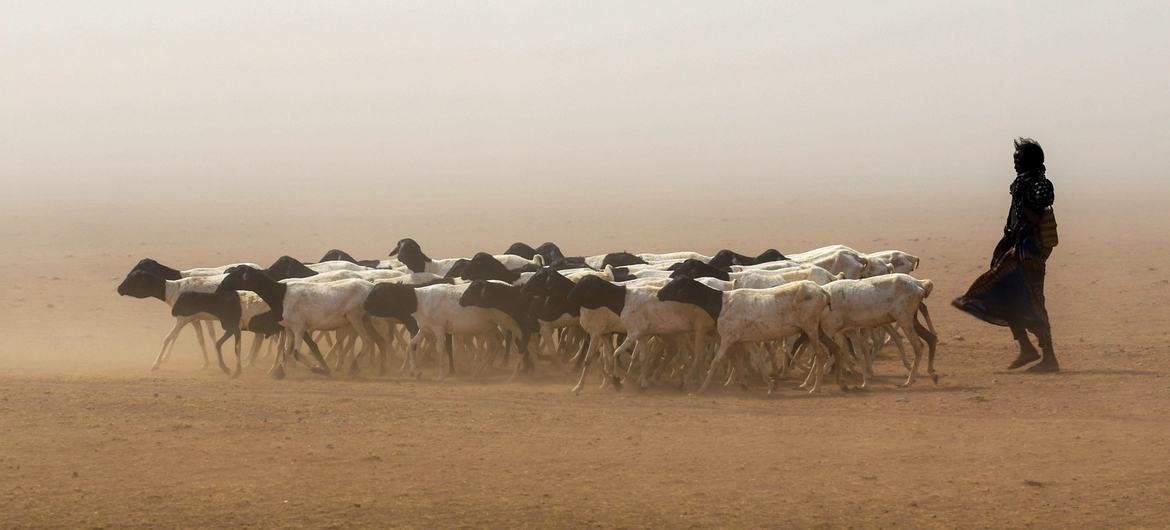 Somália enfrenta a terceira seca consecutiva em 30 anos, atingindo 3,2 milhões de pessoas