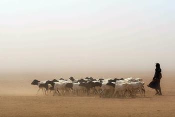 索马里的干旱导致饥饿加剧，营养不良率上升。