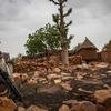 ONU perdeu mais de 250 soldados de paz desde 2013 no país da África Ocidental