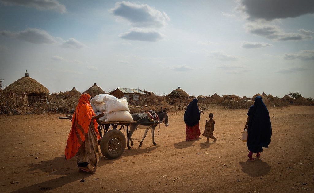 The UN is providing $20 cardinal  successful  CERF to mitigate the nonaccomplishment   of livelihoods and declines successful  nutrient  depletion  aft  erratic rainfall successful  parts of Ethiopia depleted h2o  supplies. 