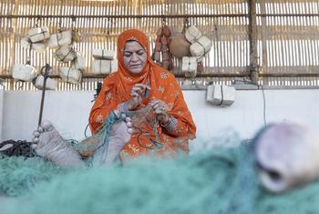 3 أكتوبر 2021، السيب، عمان - امرأة ساحلية عمانية تصلح شبكة صيد بإبرة شباك.