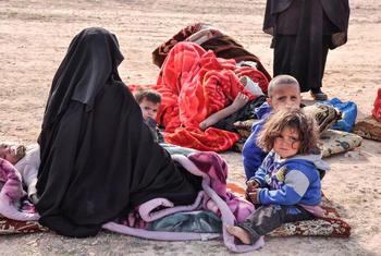 عائلة نازحة في مخيم الهول بسوريا.