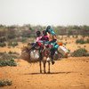 Une femme avec ses enfants sur un âne près du camp de déplacés de Zam Zam, au Nord Darfour (Soudan).