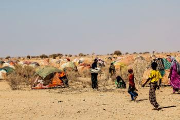 Des femmes et des enfants dans le camp de fortune du village de Gabi'as, dans la zone de Shebele. Le camp est constitué de buuls* - tentes traditionnelles somaliennes fabriquées avec de la brousse et des tissus artisanaux.
