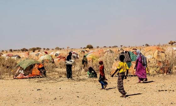 نساء وأطفال في مخيم مؤقت في منطقة شابيلي في المنطقة الصومالية في إثيوبيا.