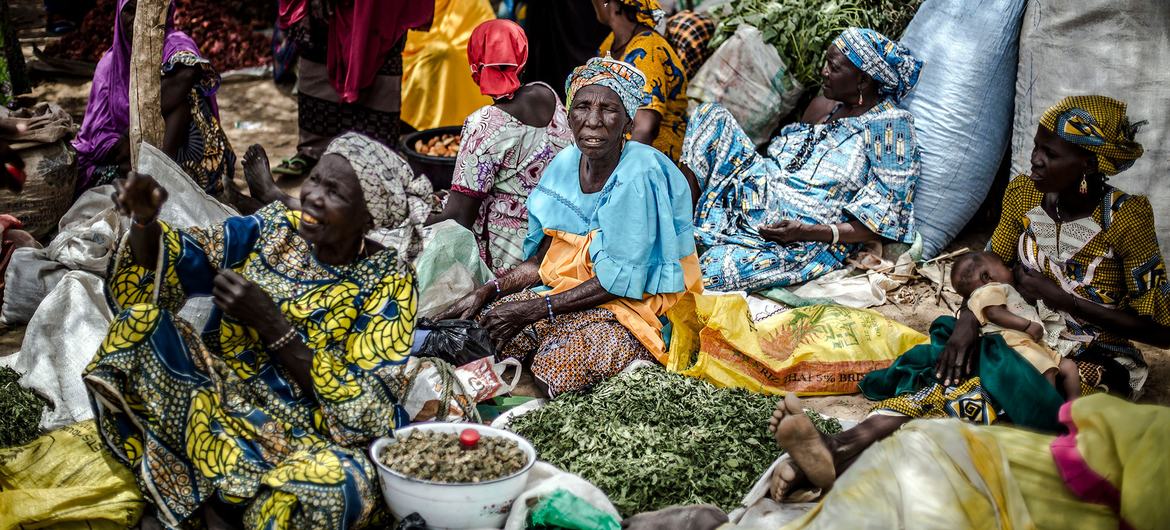 نساء يبعن البامية في سوق في تانوت ، النيجر.
