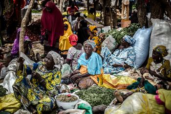 Des femmes vendent des légumes dans un marché à Tanout, au Niger.