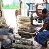 斯里兰卡正在经历一场多层面的经济危机，影响到烹饪、运输和工业用燃料。