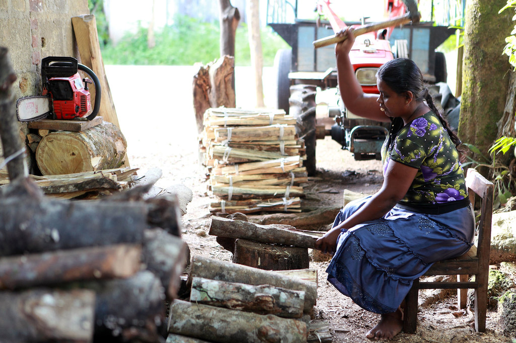 Le Sri Lanka est confronté à une crise économique multidimensionnelle.