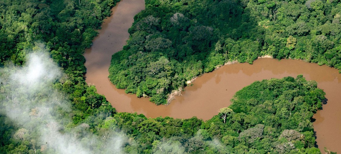 Imagen aérea de la Amazonia colombiana.