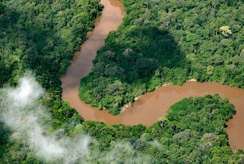 Imagen aérea de la Amazonia colombiana.