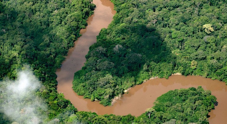 Bosques y cambio climático, hambruna en Madagascar, periodistas asesinados... Las noticias del martes