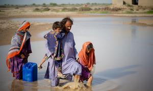 संयुक्त राष्ट्र की खाद्य सहायता एजेंसी - WFP, पाकिस्तान के बाढ़ प्रभावित इलाक़ों में सहायता पहुँचाने की मुहिम के तहत, बलूचिस्तान प्रान्त में खाद्य वितरण से पहले आकलन में जुटी हुई है. 