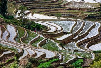 Yunnan province, China
